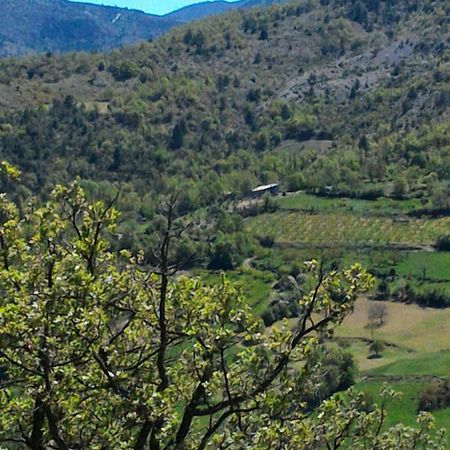 Villa Ferme La Viste La Roche-sur-le-Buis Esterno foto