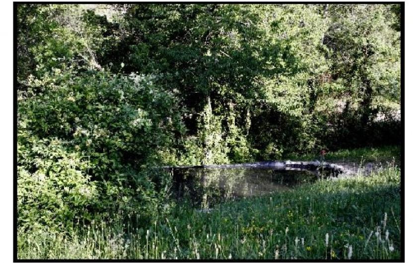 Villa Ferme La Viste La Roche-sur-le-Buis Esterno foto