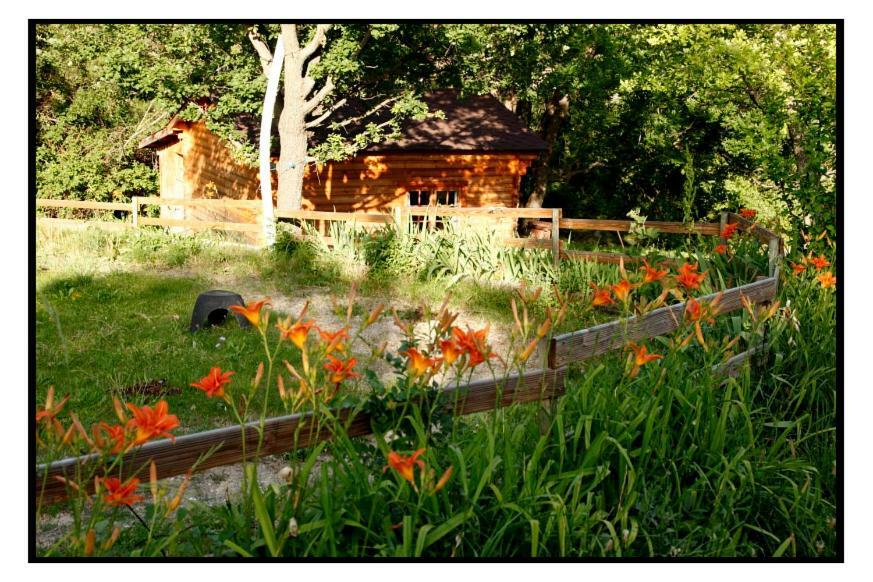 Villa Ferme La Viste La Roche-sur-le-Buis Esterno foto
