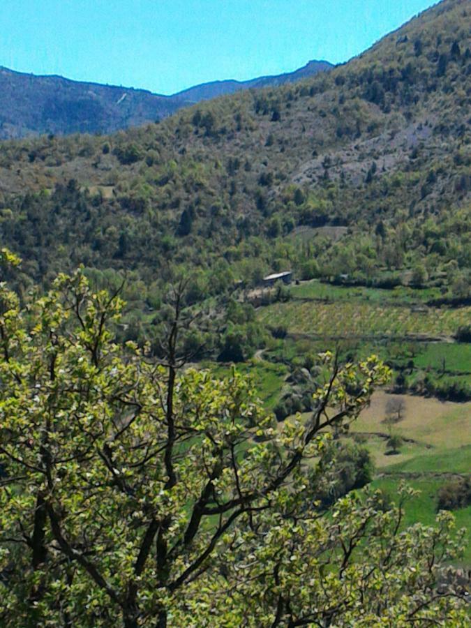 Villa Ferme La Viste La Roche-sur-le-Buis Esterno foto